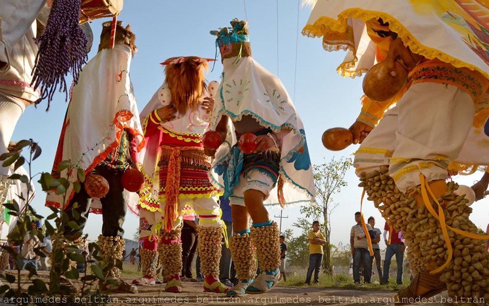 Matachines Una Tradición Yoreme Con Más De 400 Años En Sinaloa Esto